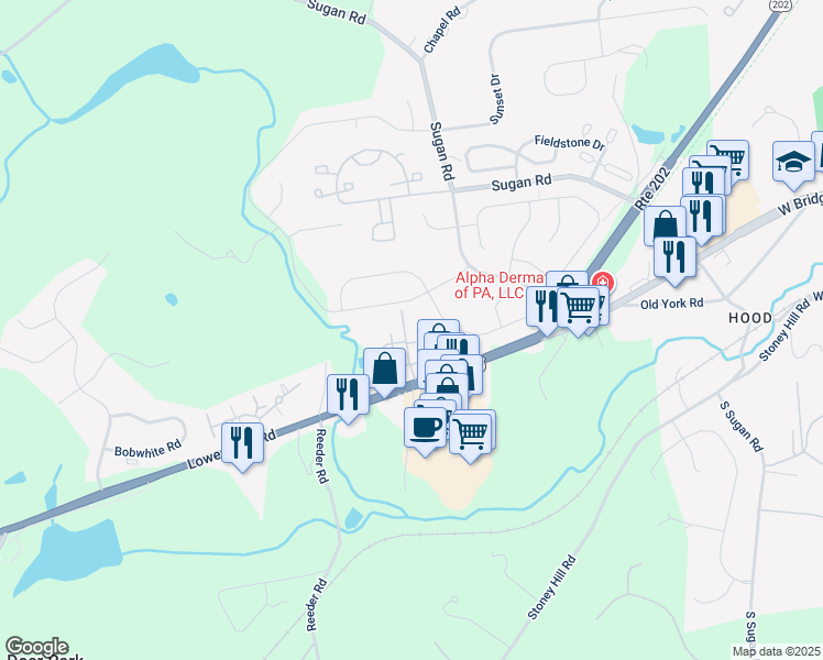map of restaurants, bars, coffee shops, grocery stores, and more near 143 Shire Drive in New Hope