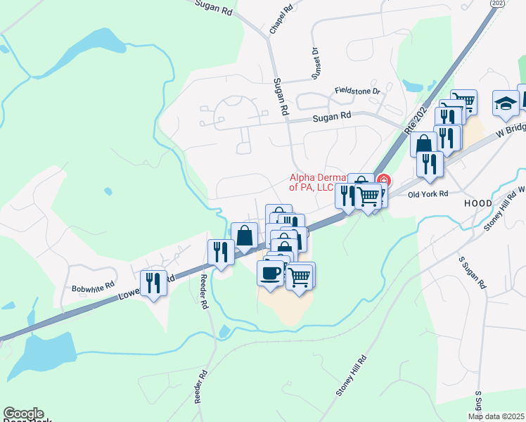 map of restaurants, bars, coffee shops, grocery stores, and more near 142 Shire Drive in New Hope