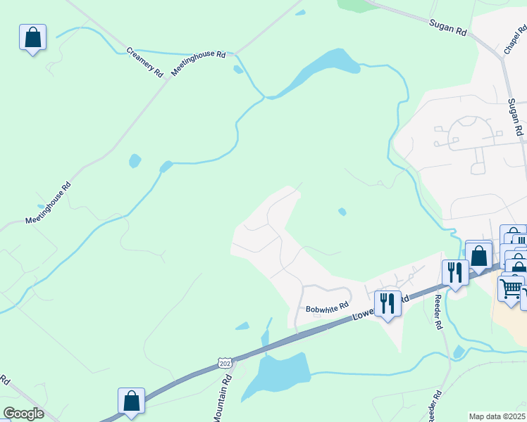 map of restaurants, bars, coffee shops, grocery stores, and more near 143 Silvertail Lane in New Hope