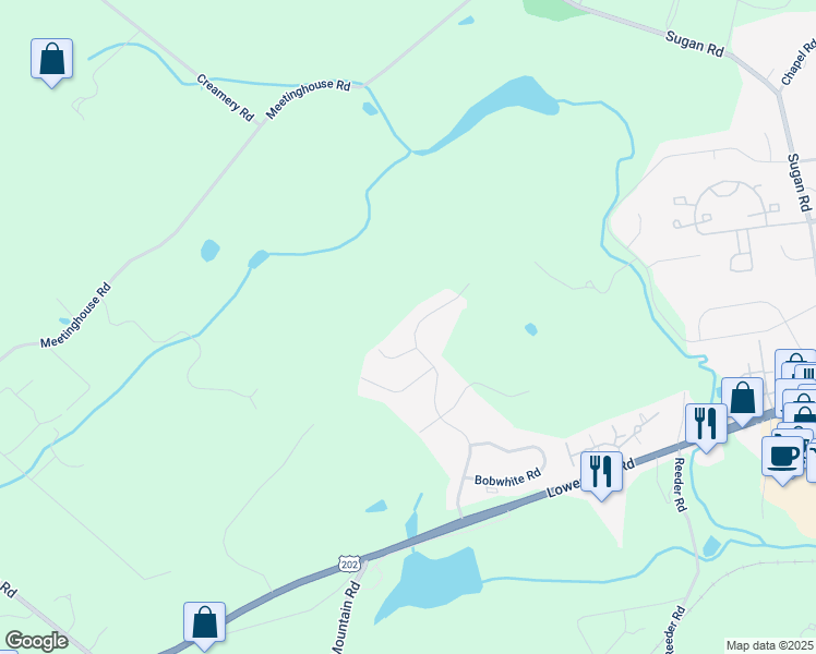 map of restaurants, bars, coffee shops, grocery stores, and more near 143 Silvertail Lane in New Hope