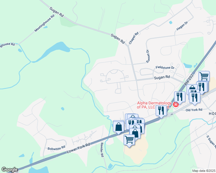 map of restaurants, bars, coffee shops, grocery stores, and more near 415 Jason Court in New Hope