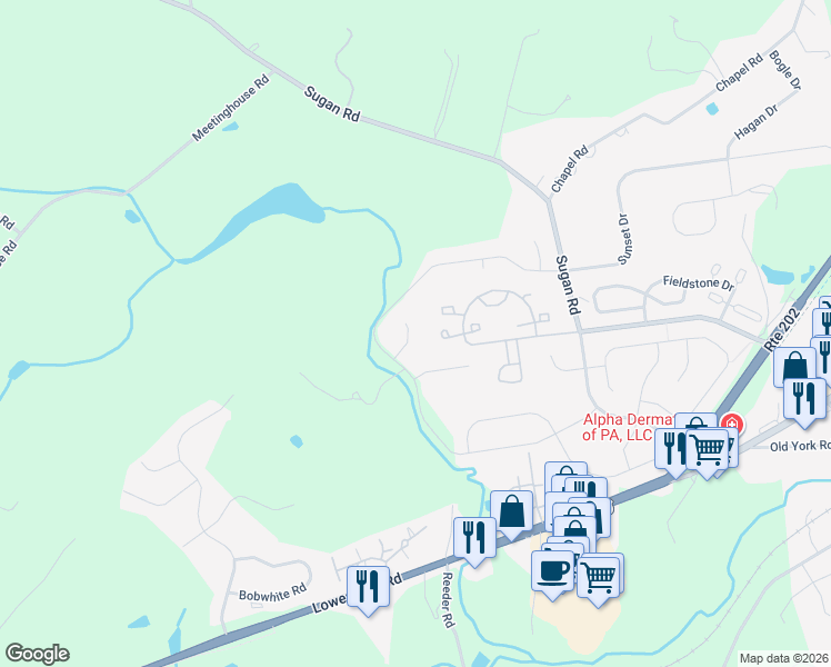 map of restaurants, bars, coffee shops, grocery stores, and more near 308 Tyler Court in New Hope