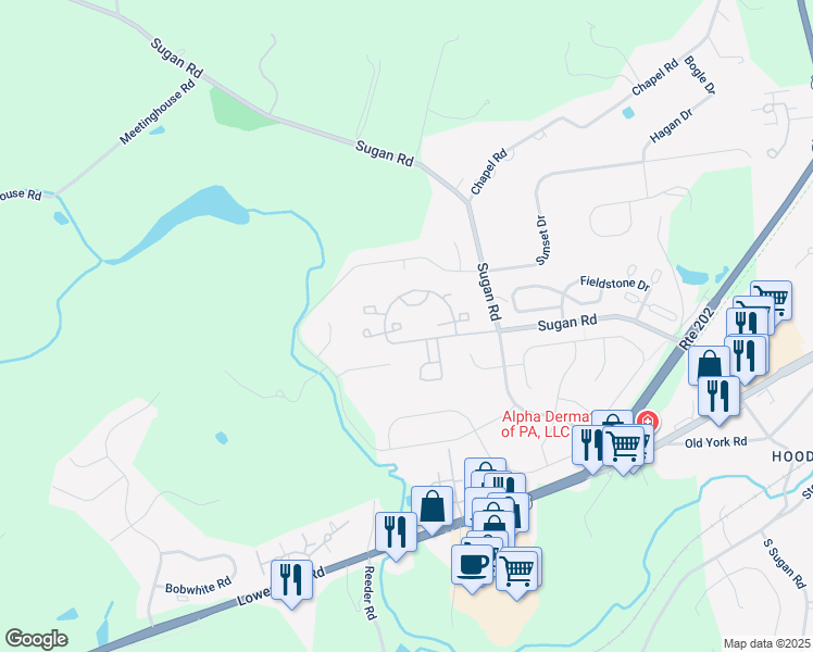 map of restaurants, bars, coffee shops, grocery stores, and more near 608 Weymouth Court in New Hope