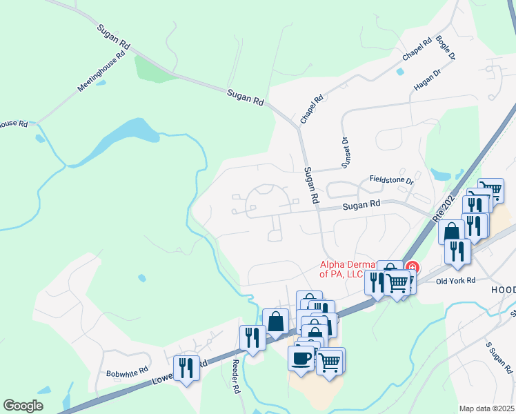 map of restaurants, bars, coffee shops, grocery stores, and more near 608 Weymouth Court in New Hope