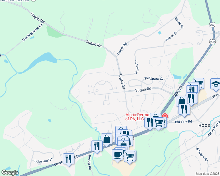 map of restaurants, bars, coffee shops, grocery stores, and more near 106 Waverly Lane in New Hope