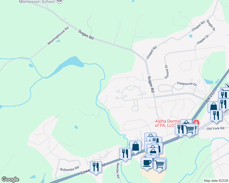 map of restaurants, bars, coffee shops, grocery stores, and more near 308 Tyler Court in New Hope