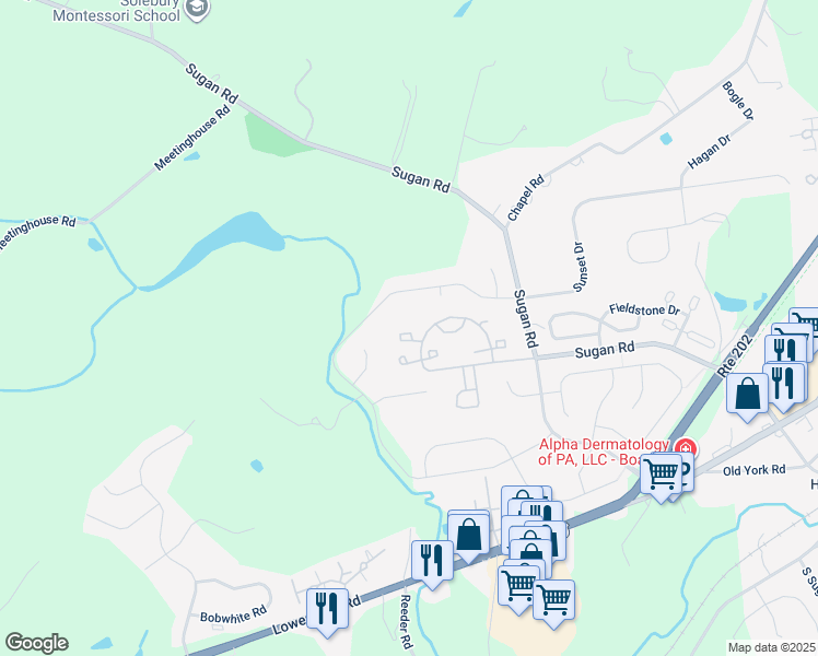 map of restaurants, bars, coffee shops, grocery stores, and more near 515 Waterford Court in New Hope