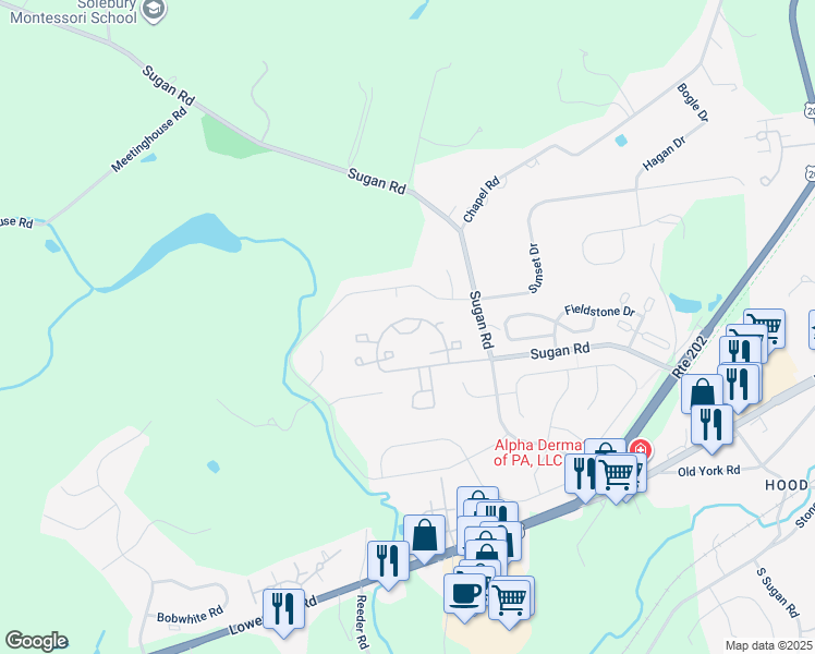map of restaurants, bars, coffee shops, grocery stores, and more near 408 Greenwich Court in New Hope