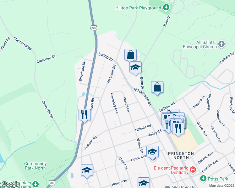 map of restaurants, bars, coffee shops, grocery stores, and more near 113 Dempsey Avenue in Princeton