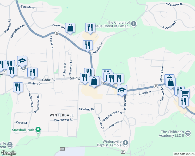 map of restaurants, bars, coffee shops, grocery stores, and more near 875 Main Street in Wintersville