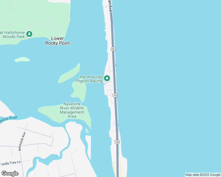 map of restaurants, bars, coffee shops, grocery stores, and more near 6 Willow Way in Sea Bright
