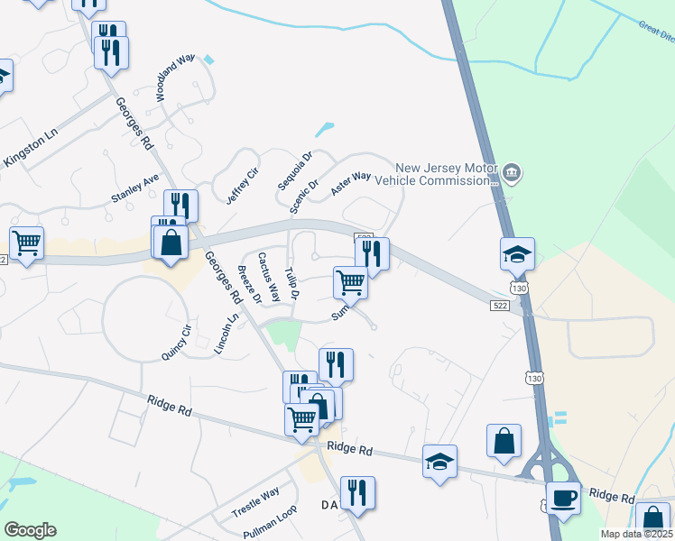 map of restaurants, bars, coffee shops, grocery stores, and more near 504 Dahlia Circle in South Brunswick Township