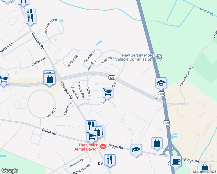 map of restaurants, bars, coffee shops, grocery stores, and more near 103 Dahlia Circle in South Brunswick Township