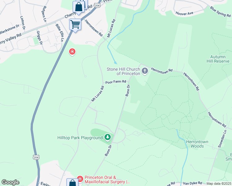 map of restaurants, bars, coffee shops, grocery stores, and more near in Princeton
