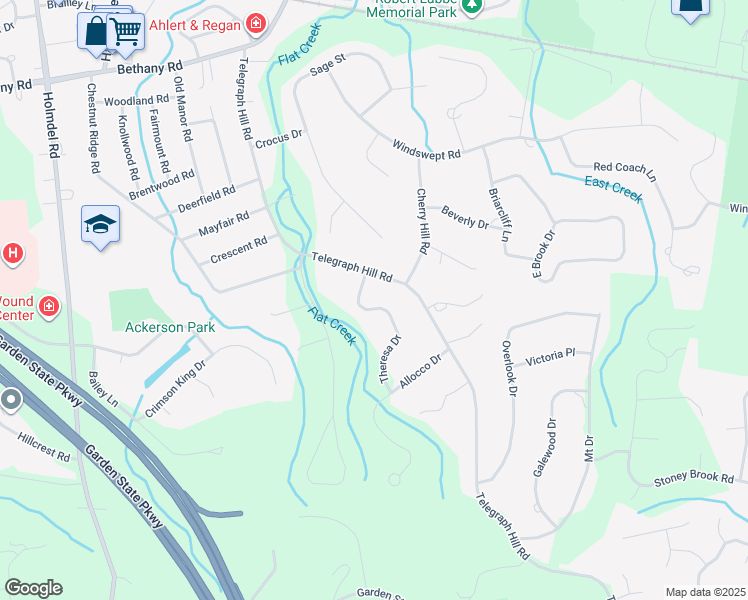 map of restaurants, bars, coffee shops, grocery stores, and more near 5 Theresa Drive in Holmdel