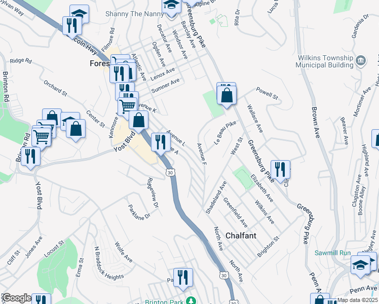 map of restaurants, bars, coffee shops, grocery stores, and more near 302 Avenue L in Pittsburgh