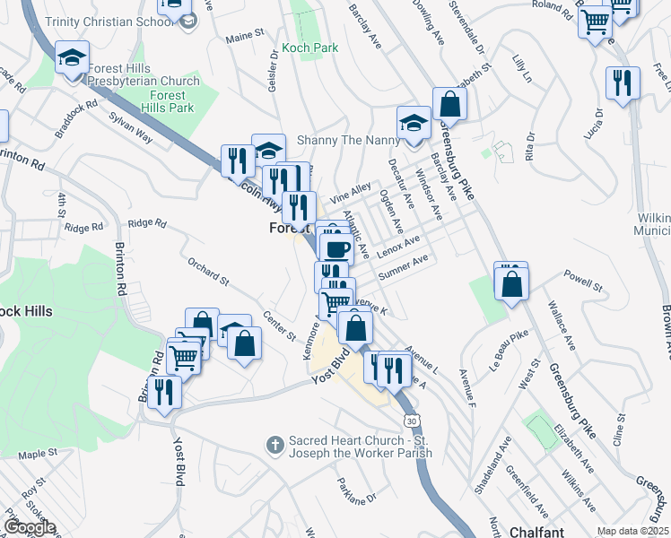 map of restaurants, bars, coffee shops, grocery stores, and more near 534 Halsey Avenue in Pittsburgh