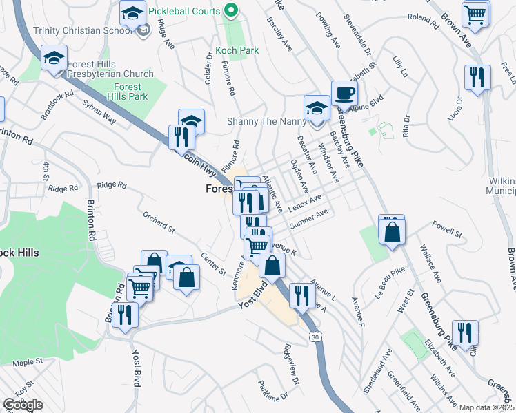 map of restaurants, bars, coffee shops, grocery stores, and more near 534 Halsey Avenue in Pittsburgh