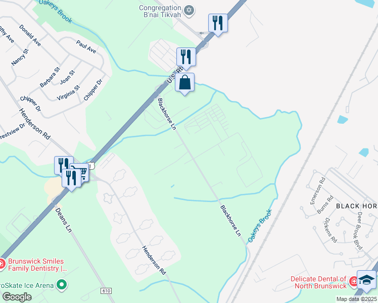 map of restaurants, bars, coffee shops, grocery stores, and more near Blackhorse Lane in North Brunswick Township CDP