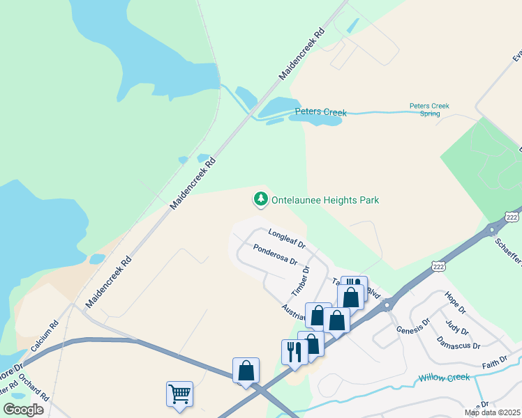map of restaurants, bars, coffee shops, grocery stores, and more near 237 Longleaf Drive in Blandon