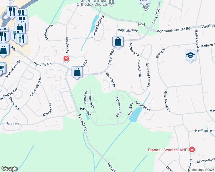 map of restaurants, bars, coffee shops, grocery stores, and more near 281 Spruce Court in Flemington