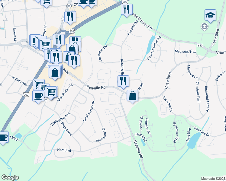 map of restaurants, bars, coffee shops, grocery stores, and more near 503 Reed Court in Flemington