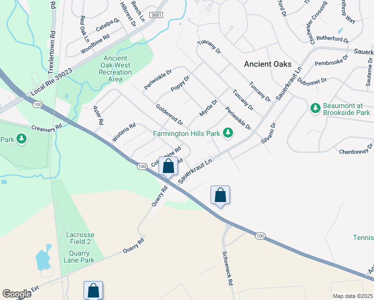map of restaurants, bars, coffee shops, grocery stores, and more near 2157 Aster Road in Macungie