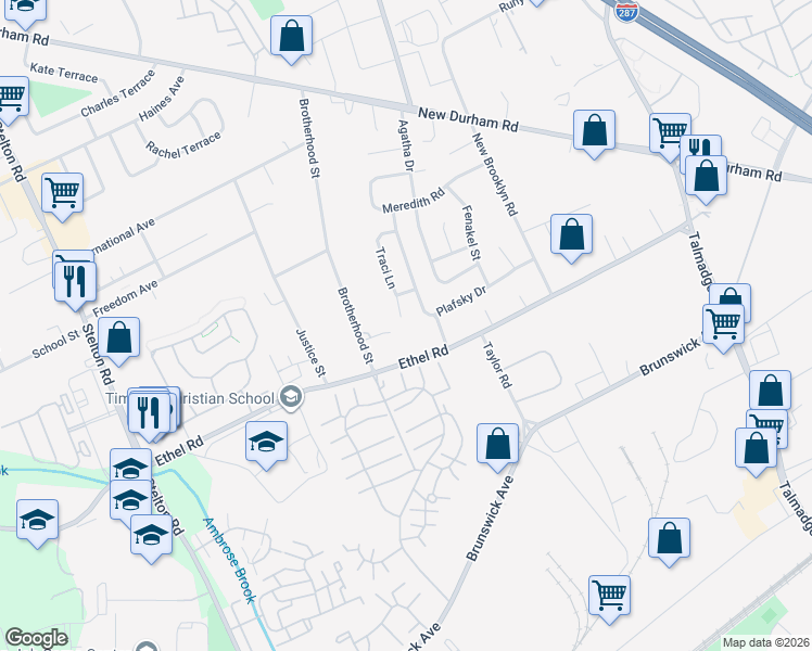 map of restaurants, bars, coffee shops, grocery stores, and more near 29 Traci Lane in Edison