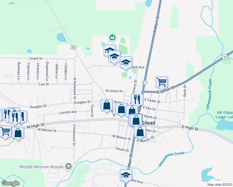 map of restaurants, bars, coffee shops, grocery stores, and more near 233 West Union Street in Mount Gilead
