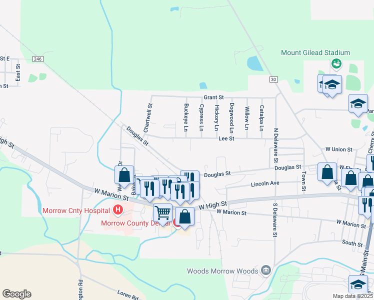 map of restaurants, bars, coffee shops, grocery stores, and more near 466 Lee Street in Mount Gilead