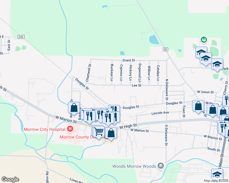 map of restaurants, bars, coffee shops, grocery stores, and more near 466 Lee Street in Mount Gilead
