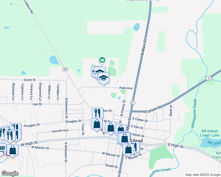 map of restaurants, bars, coffee shops, grocery stores, and more near 335 Park Avenue in Mount Gilead