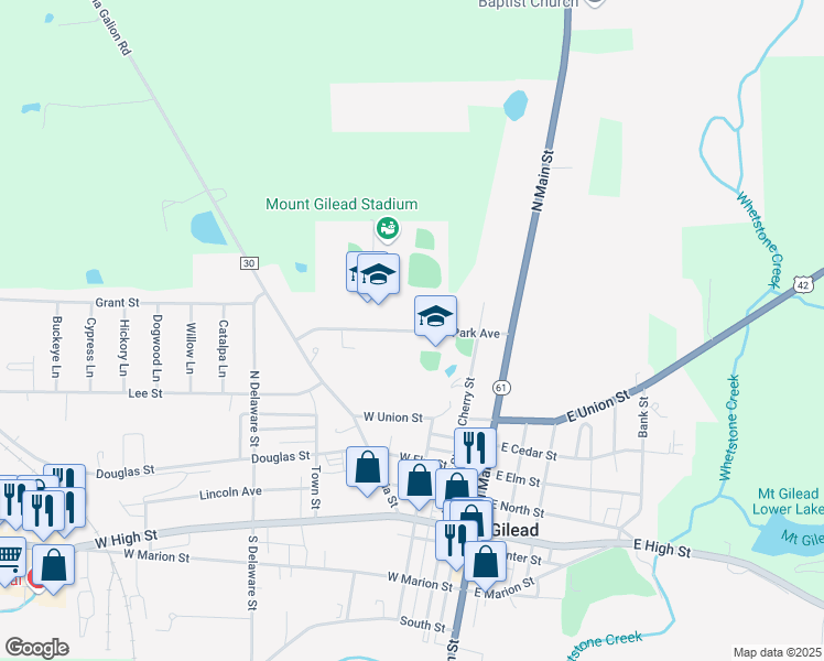 map of restaurants, bars, coffee shops, grocery stores, and more near 338 Park Avenue in Mount Gilead