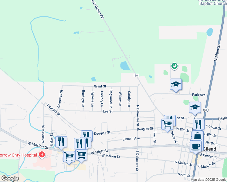 map of restaurants, bars, coffee shops, grocery stores, and more near 516 Dogwood Lane in Mount Gilead