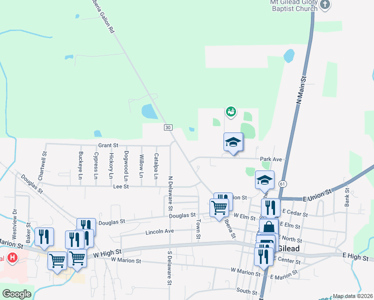 map of restaurants, bars, coffee shops, grocery stores, and more near 331 Iberia Street in Mount Gilead