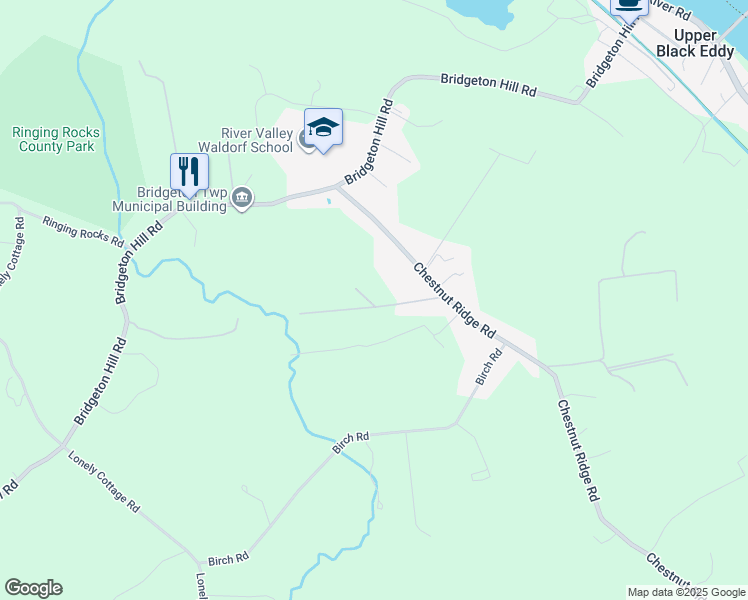 1325 Leddys Lane, Upper Black Eddy PA Walk Score