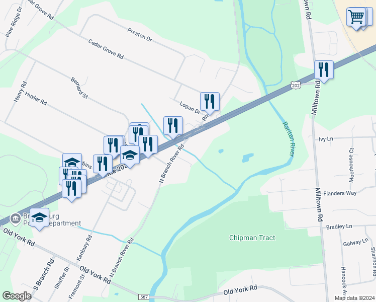map of restaurants, bars, coffee shops, grocery stores, and more near 113 River Road in Branchburg