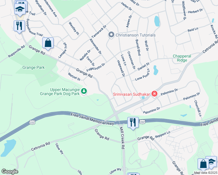 map of restaurants, bars, coffee shops, grocery stores, and more near 411 Daniel Street in Allentown