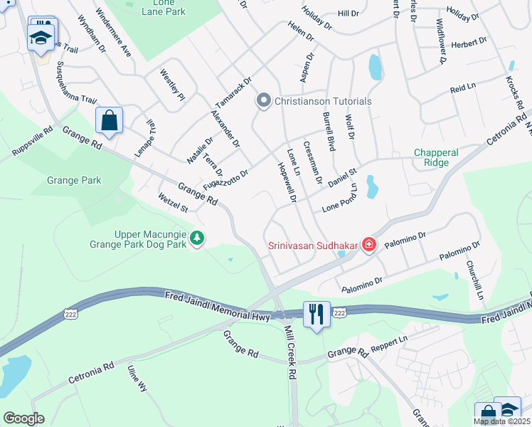 map of restaurants, bars, coffee shops, grocery stores, and more near 386 Daniel Street in Allentown