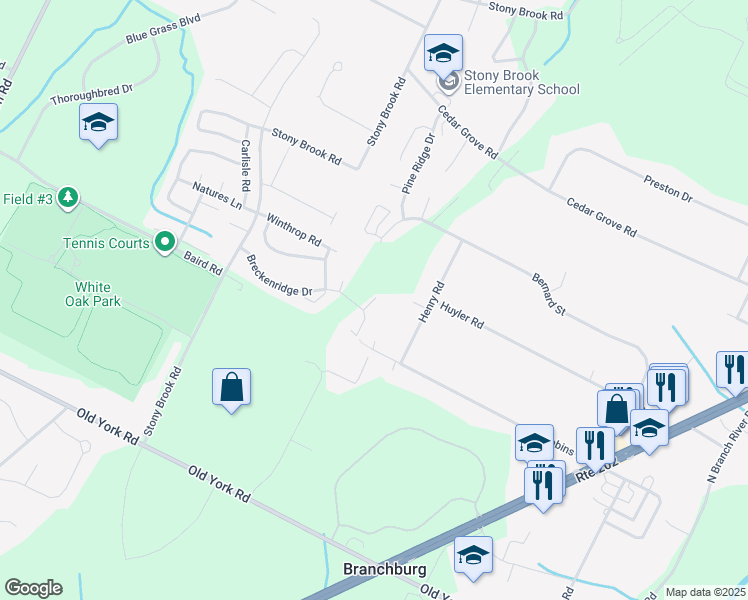 map of restaurants, bars, coffee shops, grocery stores, and more near 1501 Longley Court in Branchburg