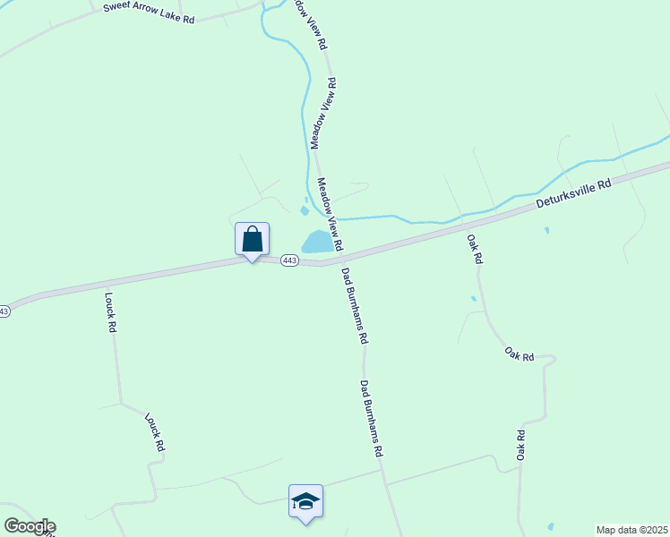 map of restaurants, bars, coffee shops, grocery stores, and more near 980 Deturksville Road in Pine Grove