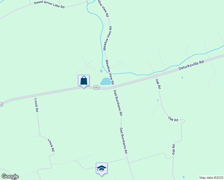 map of restaurants, bars, coffee shops, grocery stores, and more near 980 Deturksville Road in Pine Grove