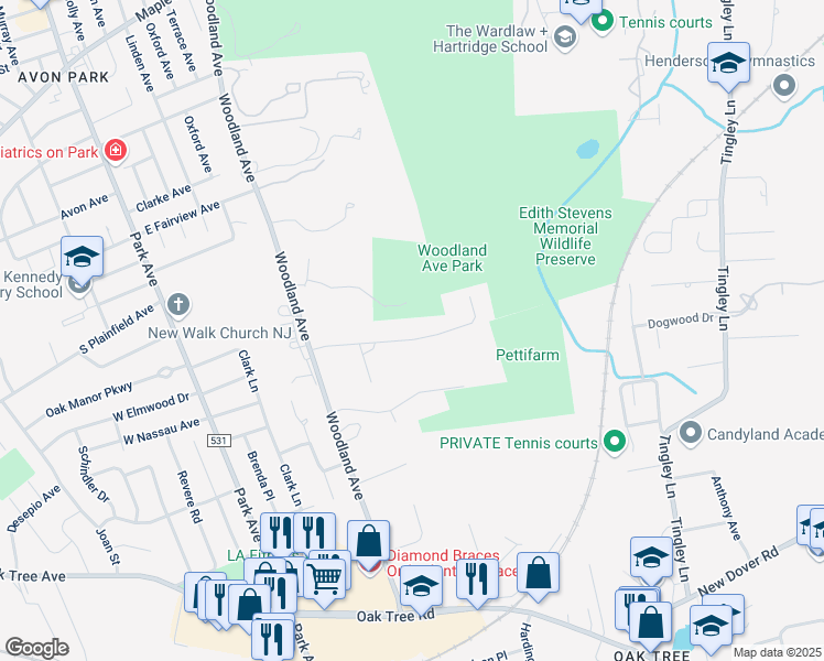 map of restaurants, bars, coffee shops, grocery stores, and more near 12 Hayduk Drive in Edison