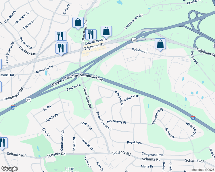 map of restaurants, bars, coffee shops, grocery stores, and more near 515 Wild Mint Lane in Allentown