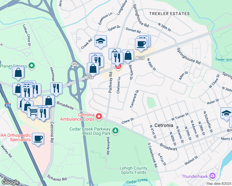 map of restaurants, bars, coffee shops, grocery stores, and more near 540 Chelsea Lane in Allentown