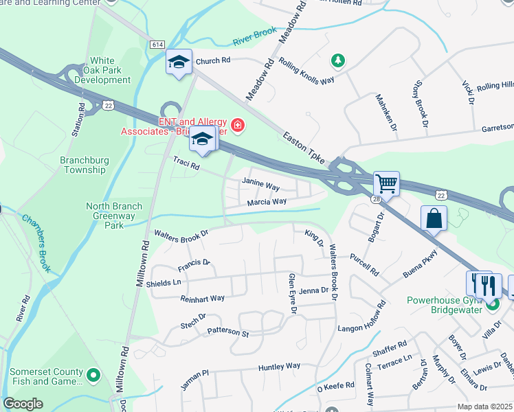map of restaurants, bars, coffee shops, grocery stores, and more near 338 Tammy Lane in Bridgewater Township