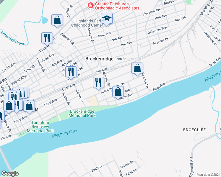 map of restaurants, bars, coffee shops, grocery stores, and more near 201 Morgan Street in Brackenridge