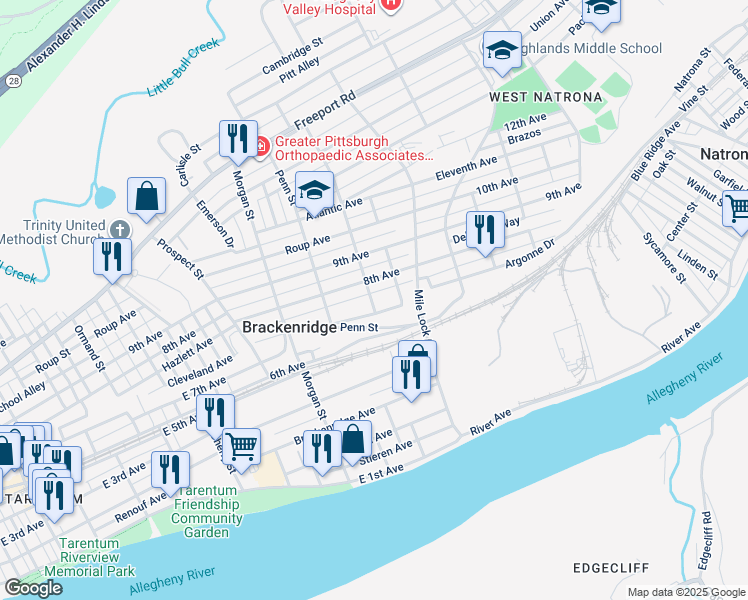 716 Ohio Street, Brackenridge PA Walk Score