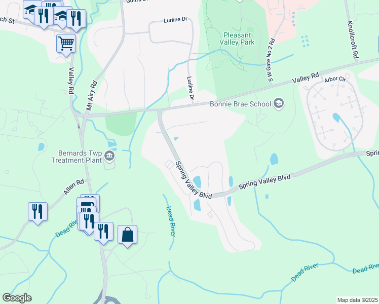 map of restaurants, bars, coffee shops, grocery stores, and more near 162 Woodward Lane in Basking Ridge