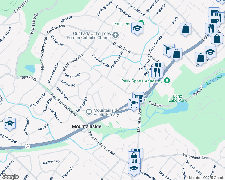 map of restaurants, bars, coffee shops, grocery stores, and more near 251 Old Tote Road in Mountainside